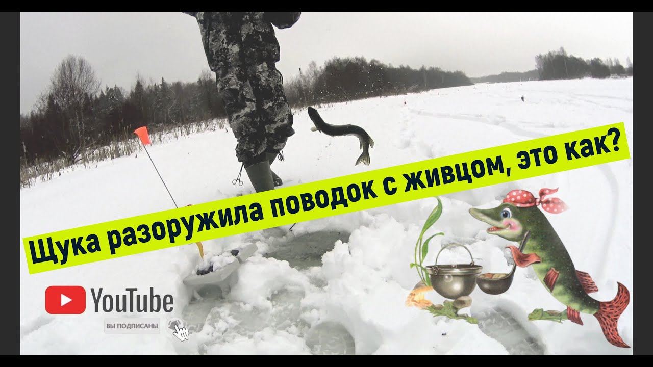 Как щука смогла снять двойник с живцом с поводка? - YouTube