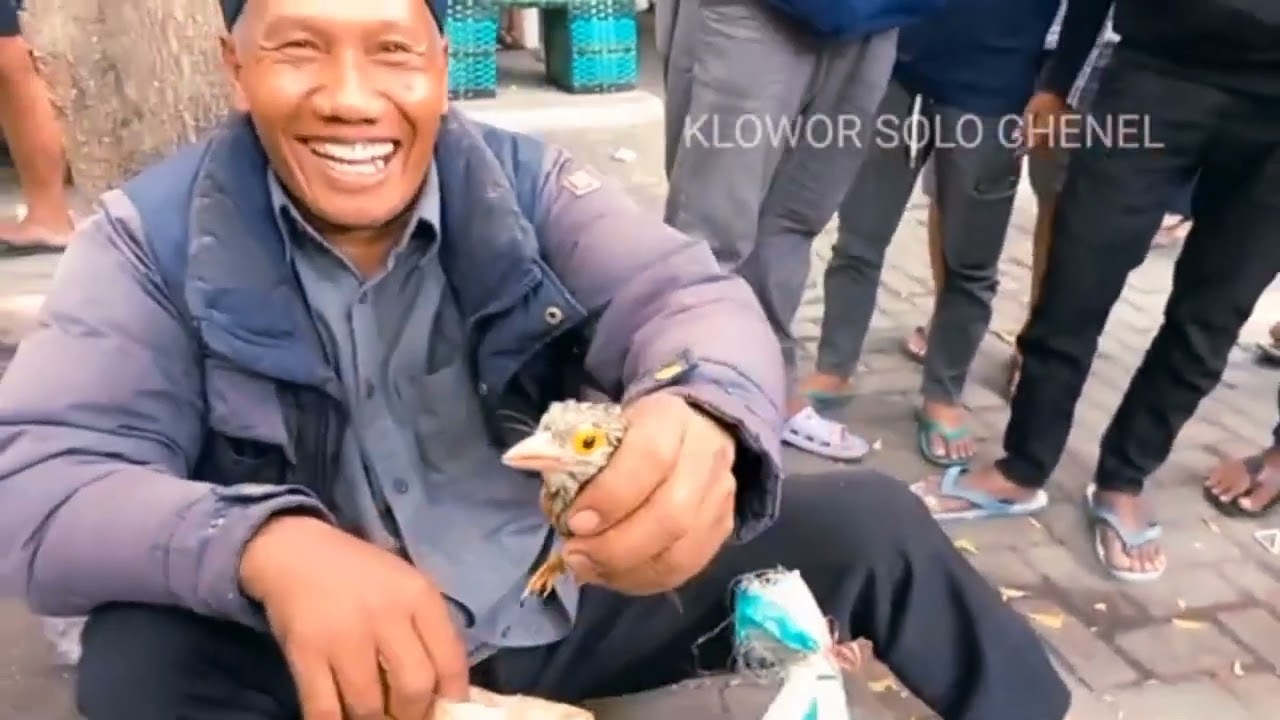 Rekomendasi Pasar Burung Depok Solo Paling Lengkap