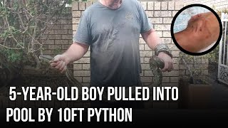 5-year-old boy pulled into pool by 10ft python