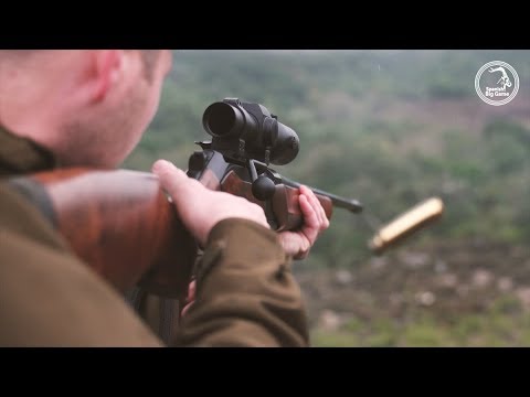 Spanish Monteria with SBG Professional Outfitters - Driven Boar, Deer and Mouflon Hunting