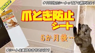 100均の爪とぎ防止シートを実際に使ってみた！5か月後どうなってる？