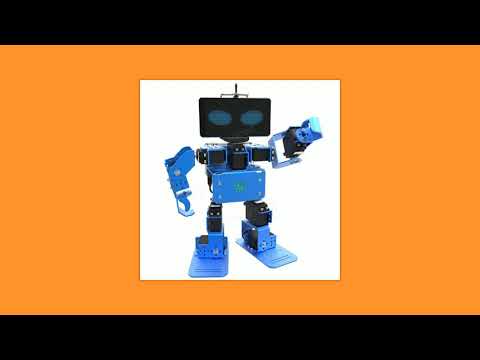 Robospace IronBot Mate
