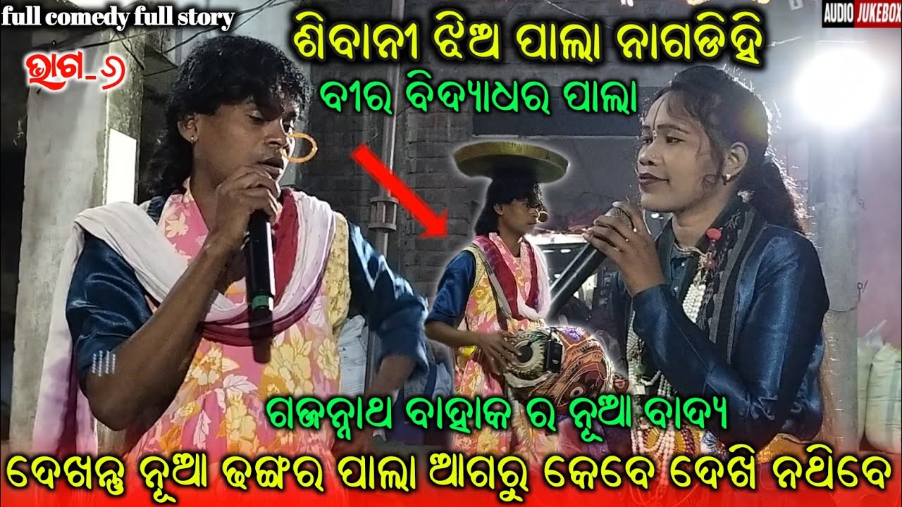 Nagdihi Jhia Pala || veera vidyadhar pala nagdihi || ms sambalpuria || part-6 || nagdihi pala #pala 