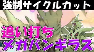 ポケモンusum 追い打ちでサイクルを捻り潰す フルアタメガバンギラス ポケモン Youtube