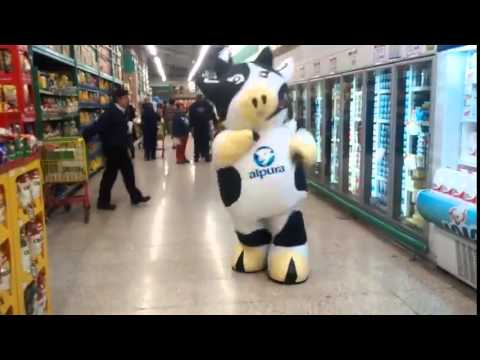 Dancing Cow in Mexico