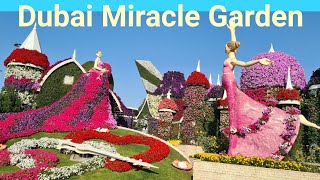 Dubai Miracle Garden World's largest Garden Of fresh Flowers/ Dubai Tourists attractions /Dubai tour