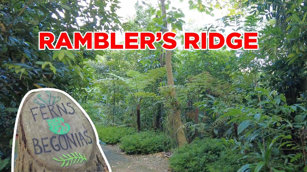 Rambler's Ridge, Gallop Extension, Singapore Botanic Gardens || Walking Singapore