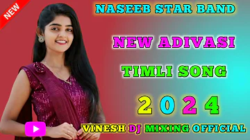 NASEEB STAR BAND | NEW ADIVASI TIMLI SONG 2024 | Timli Song | Adivasisong | Adivasi Song Vinesh dj
