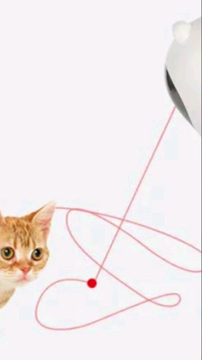 Luz Laser para gatos – Apps no Google Play