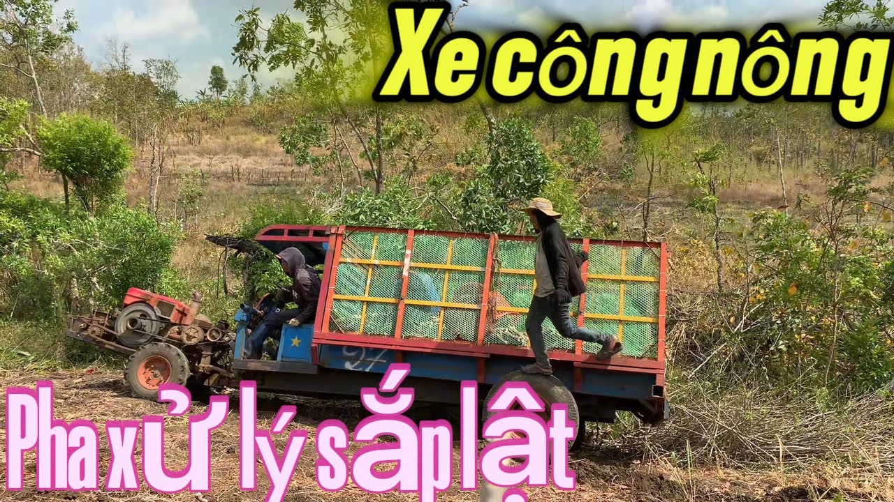 Pha Xử Lý Của tài xế Xe Công Nông suýt lật/ Chở Sắn Tươi @NôngdânTN-vi 