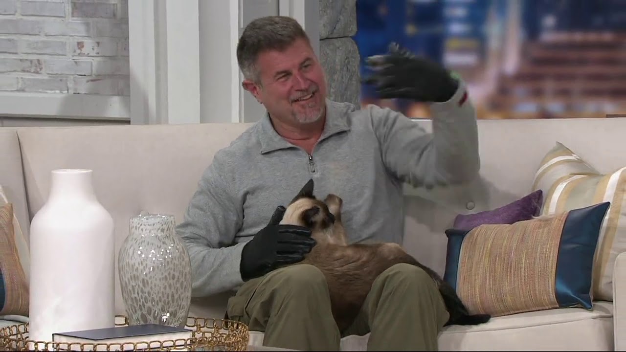 Hands On Pet Shedding Bathing & Grooming Gloves on QVC YouTube