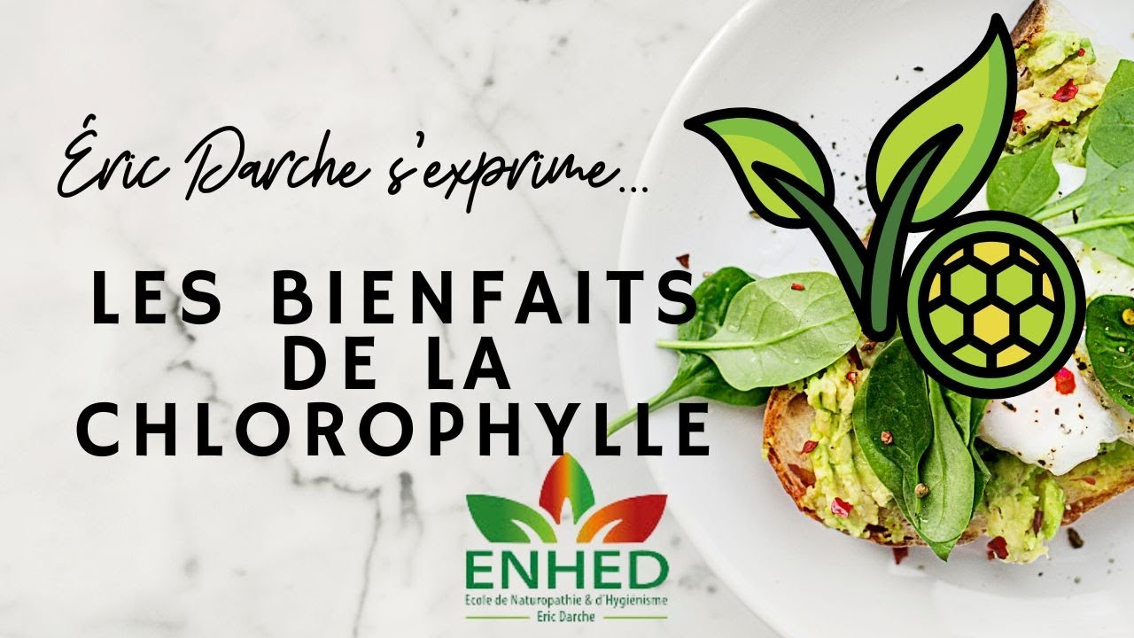 Quels sont les bienfaits de la chlorophylle ?