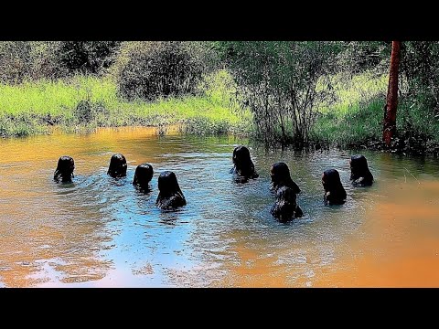 فيديو مشاهد مذهلة كادت أن تبقى سراً مخفياً للأبد لولا كاميرا الدرون