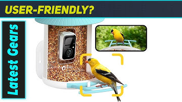 Netvue Birdfy Feeder AI: The Best Smart Bird Feeder for Birdwatching Enthusiasts