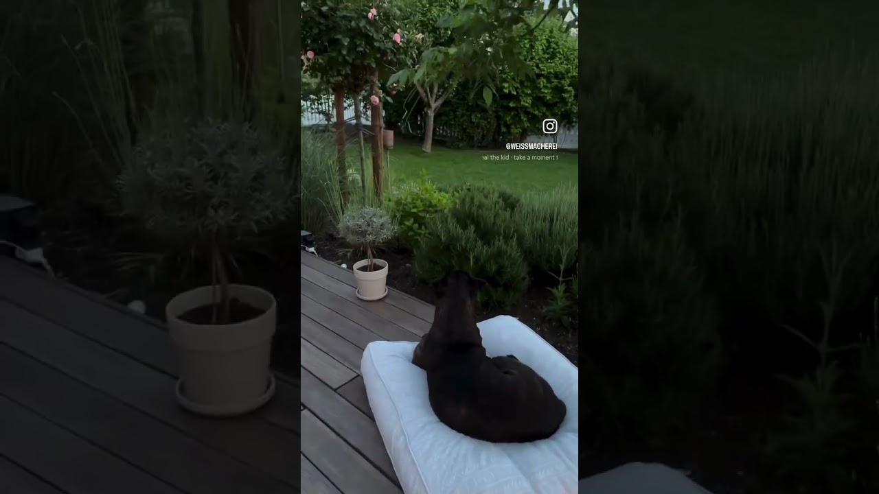 Transform Your Home: Best Outdoor Living Space Ideas on a Budget Revealed | Cliothens