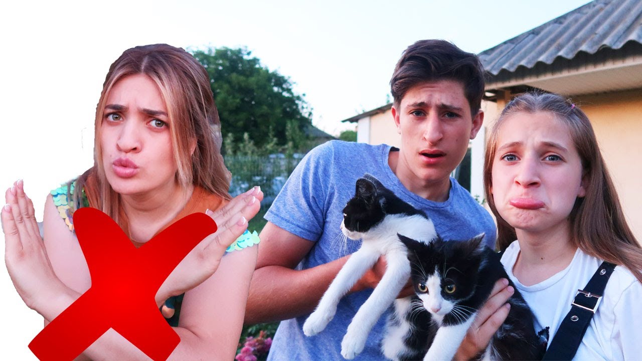 Cătălina interzice lui Miriam și Dani să aducă pisici ACASĂ/Istorie
