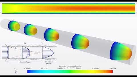 Boundary layer (no-slip) BC & Development of tube flow