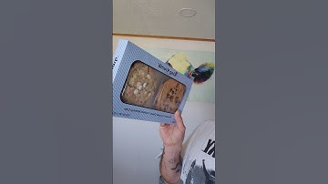 new Walmart King Krumb cookies #foodreview #cookies