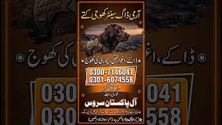 Army Dog Center Hyderabad Larkana Sukkur Rohri Badin Sujawal Thatta Mirpur Khas Karachi