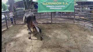 Lote Nro. 282