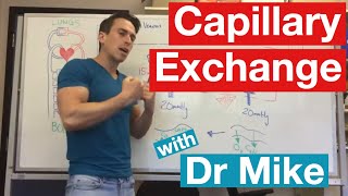 Capillary exchange