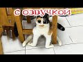 Приколы с котами! С ОЗВУЧКОЙ! Смешные Коты! Самые смешные животные!