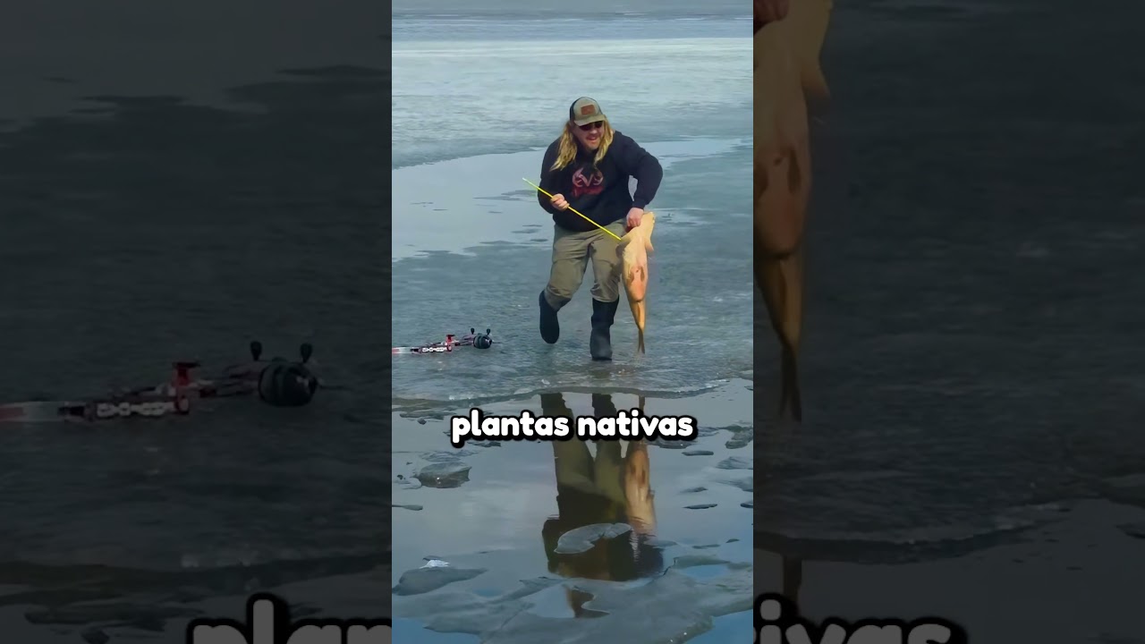 O Método de pesca dessa cara é insano 🤯 #pesca #peixes #shorts