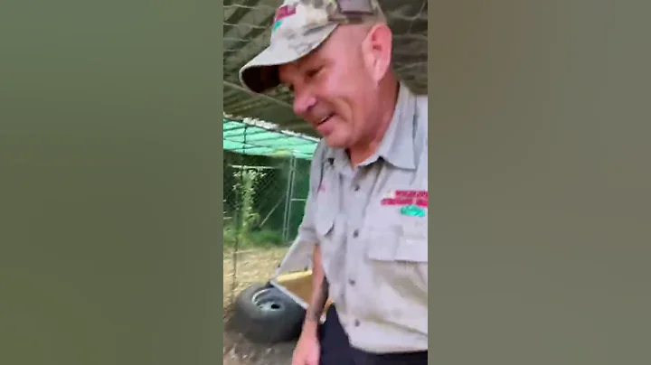 Huge Python Hot Tub - Part 3 😳 #shorts