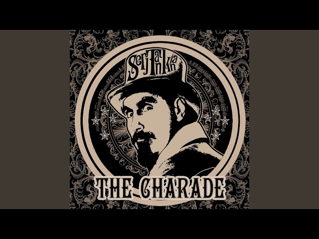 Serj Tankian - Charade
