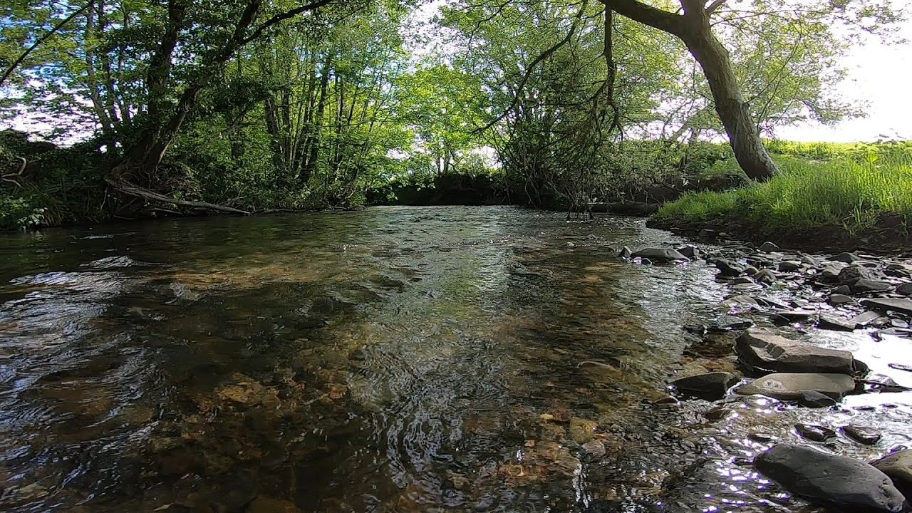 River Taw 30th May 2021