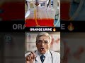 Orange Urine| Best app for NEET PG Preparation |Dopamine|