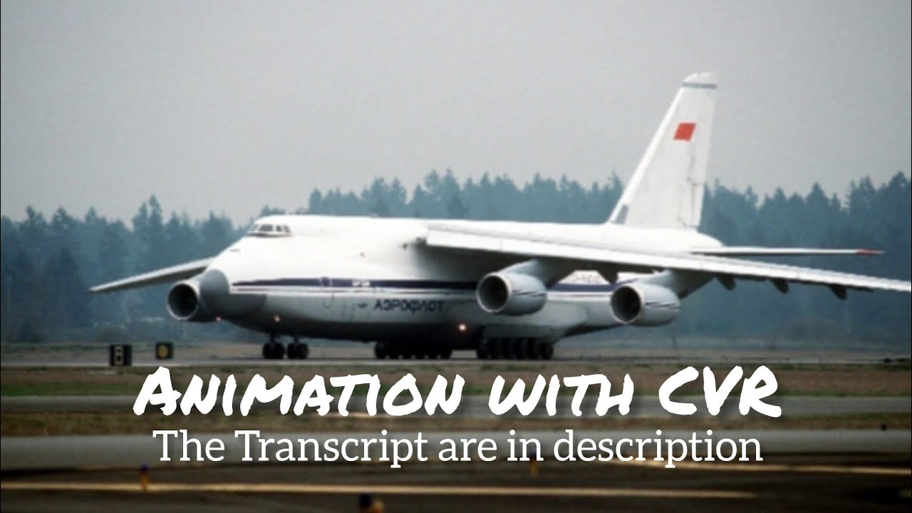 Aeroflot Flight 9981 Crash || Animation with CVR. (Subtitles/CC On)