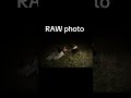 photographer
