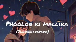 Phoolon Ki Malika Song Heart Touching Song By Lofiversion