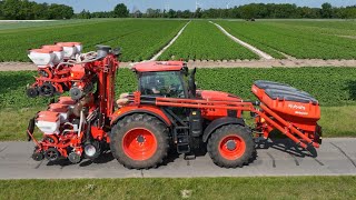 Mais Aussaat 2023 - Vorführung mit moderner Technik - Traktor und Sämaschine von Kubota - Maisanbau