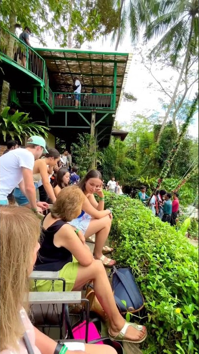 Bali paradise Indonesia 🌴🤩 #bali #denpasar #ubud #banyuwangi #adventure #nature #viral #like #fun