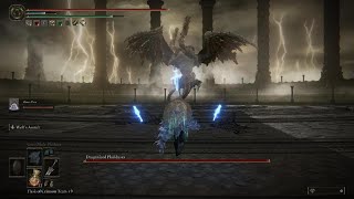 Elden Ring-Vs. Dragonlord Placidusax-Royal Greatsword(NG1)