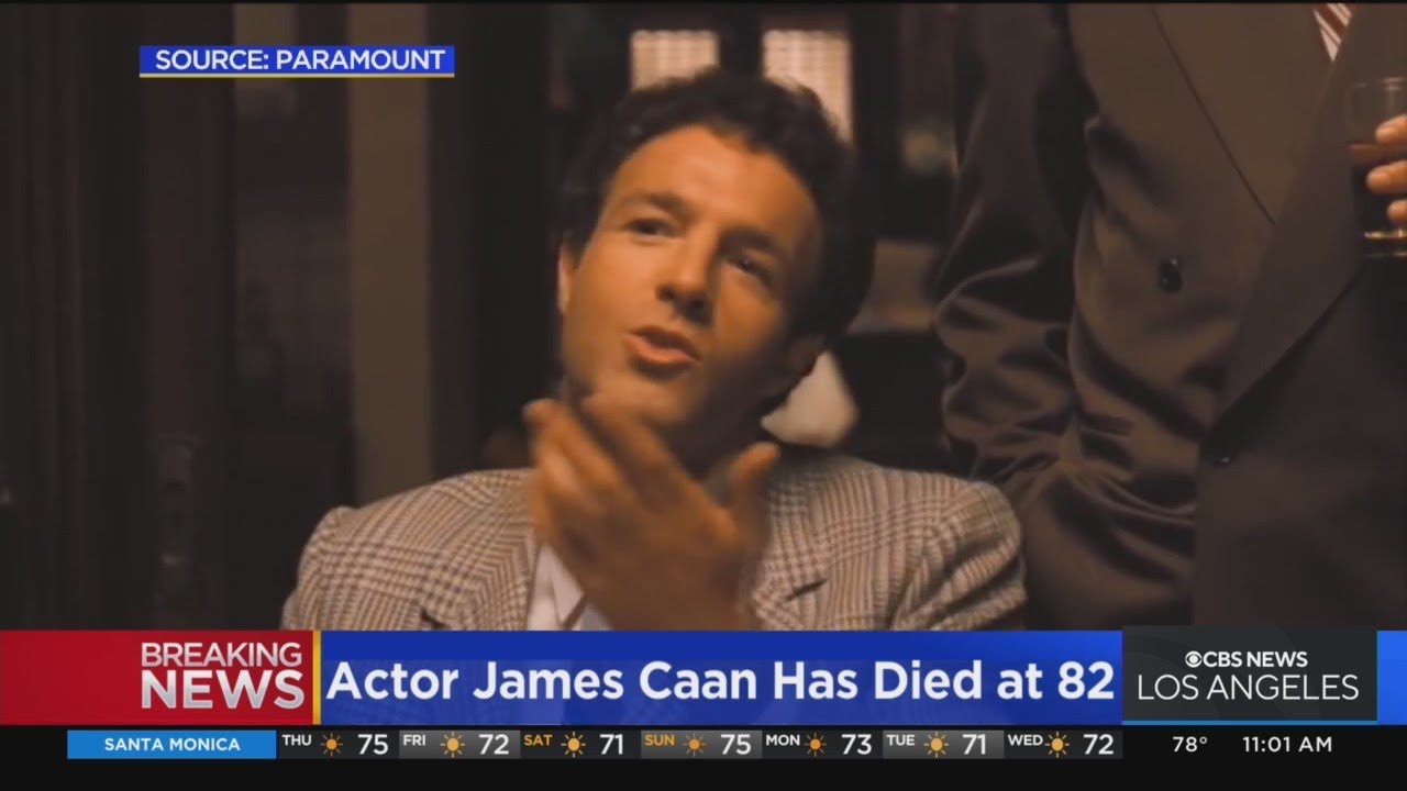 James Caan, Actor Who Won Fame in 'The Godfather,' Dies at 82