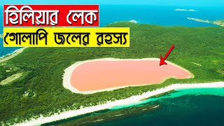 চারপাশে সমুদ্রের অথৈ নীল জ্বল রাশি মাঝখানে গোলাপি রঙের লেক ও তার রহস্য | হিলিয়ার লেক | Lake Hillier