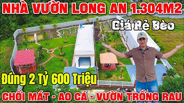 Tập 217 NHÀ VƯỜN LONG AN GIÁ RẺ Chưa Từng Thấy Luôn 1.304m2 Giá Tổng 2Tỷ6 - Hồ Cá Chồi Mát Khu Vườn✅
