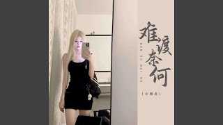 难渡奈何