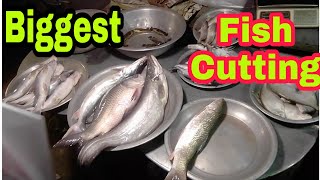 Amazing Cutting Fish | Fastest Rohu Fish Cutting | Big Carp Fish Clean  And Fillet Videos