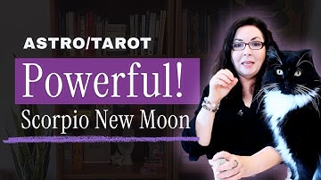 All Signs: The Bridge Into Your Next Chapter – Scorpio New Moon Astrology and Tarot - Stella Wilde