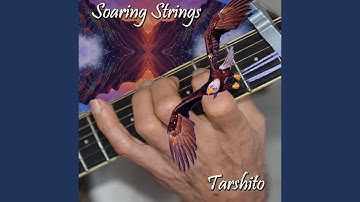 SOARING STRINGS