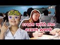 Vet student exam hell week  study vlog