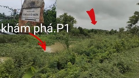 Câu Cá Rô Đồng.vào khu di tích khám phá điểm câu @tranchungcuchi