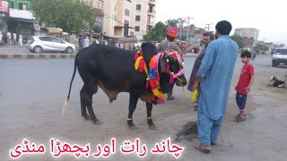 Cow Mandi Gujranwala 2024 Chand Rat Bachra Sahiwal Low Rate? Bakra Mandi Gujranwala