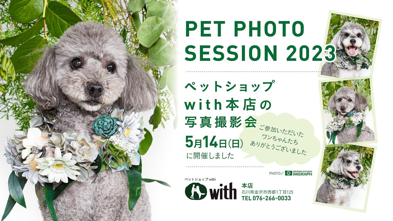 セット売り【希少】撮影会1度のみ ペットアポルテ Pet a Portre ペットショップwith本店 ペット写真撮影会／PET PHOTO SESSION 2023.5