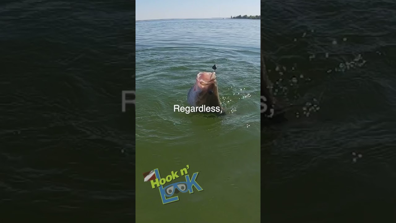 Three tips for bass fishing during the spawn. 