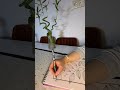 #artistsonyoutube #art #lineart #drawing #artist #artshorts #youtubeshorts